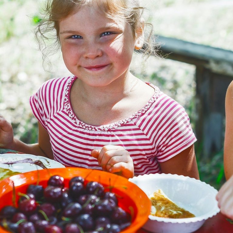 healthy eating fussy eater graphic